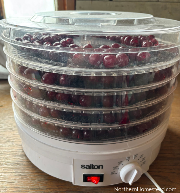 Mastering the Art of Dehydrating Fruit