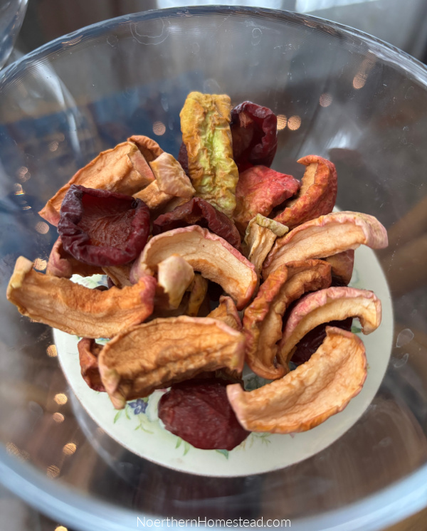 Mastering the Art of Dehydrating Fruit