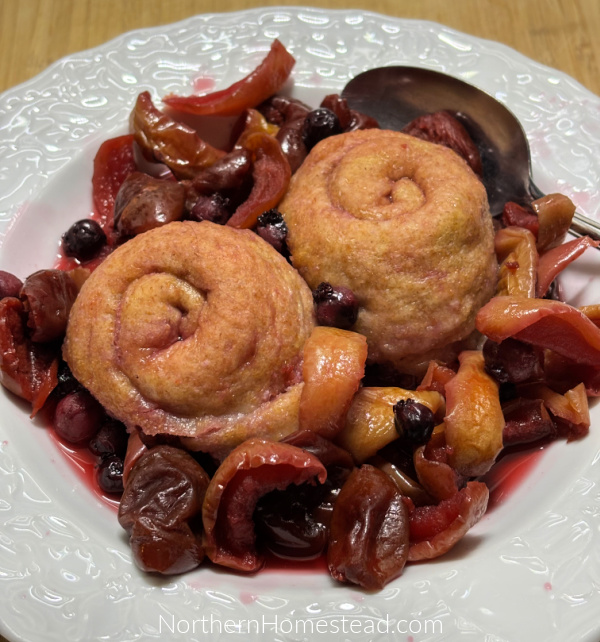Mastering the Art of Dehydrating Fruit