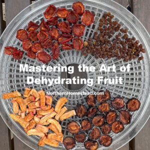 Mastering the Art of Dehydrating Fruit: From Snacks to Culinary Delights