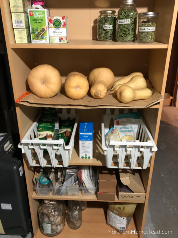 Growing Butternut Squash in a Cold Climate: Tips for a Bountiful Harvest