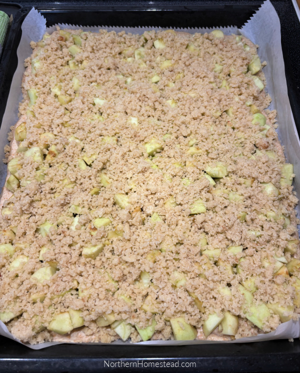 Fruit crumble squares recipe 