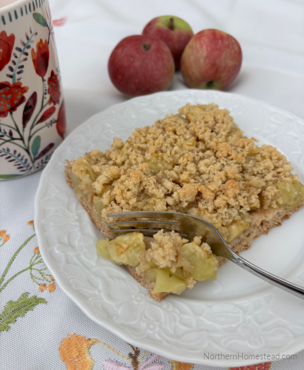 Fruit crumble squares recipe 