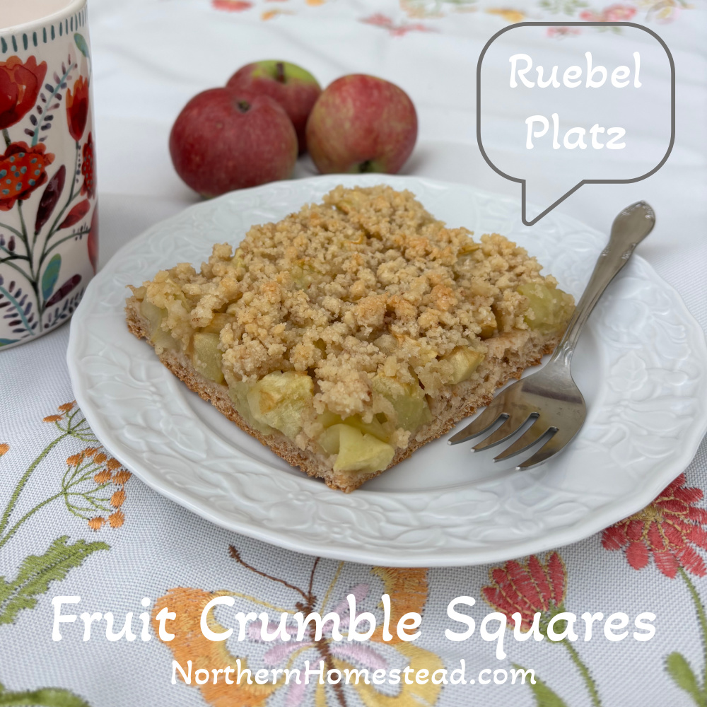 Fruit crumble squares recipe (Ruebel Platz)