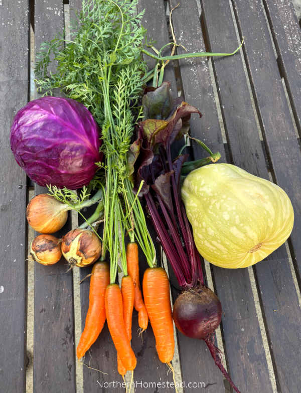Harvesting Your Bounty in a Short Growing Season.