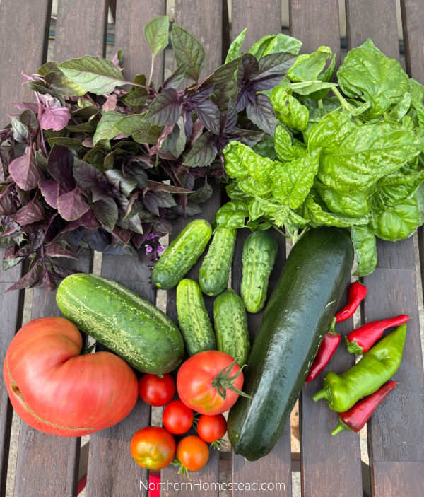 Harvesting Your Bounty in a Short Growing Season.
