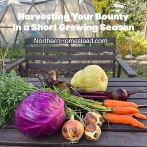 Harvesting Your Bounty in a Short Growing Season.
