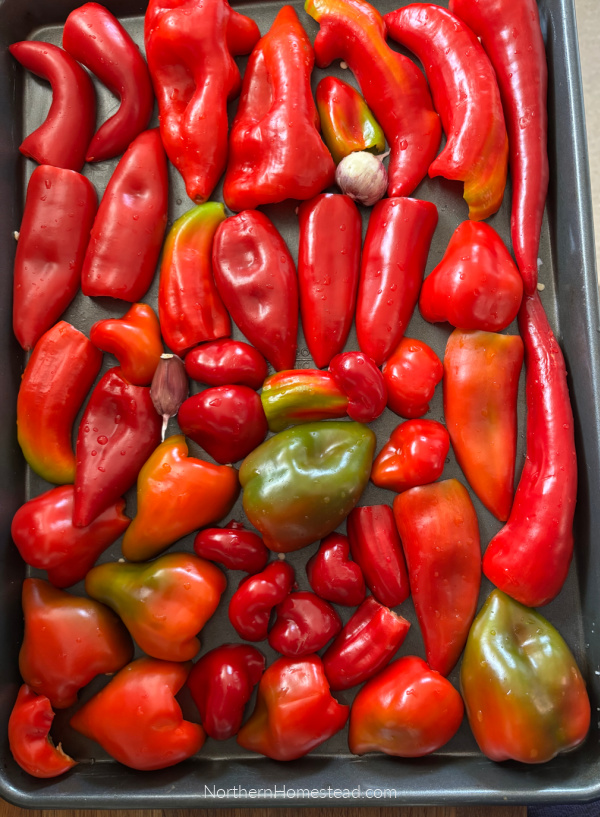 Roasted Peppers in a jar