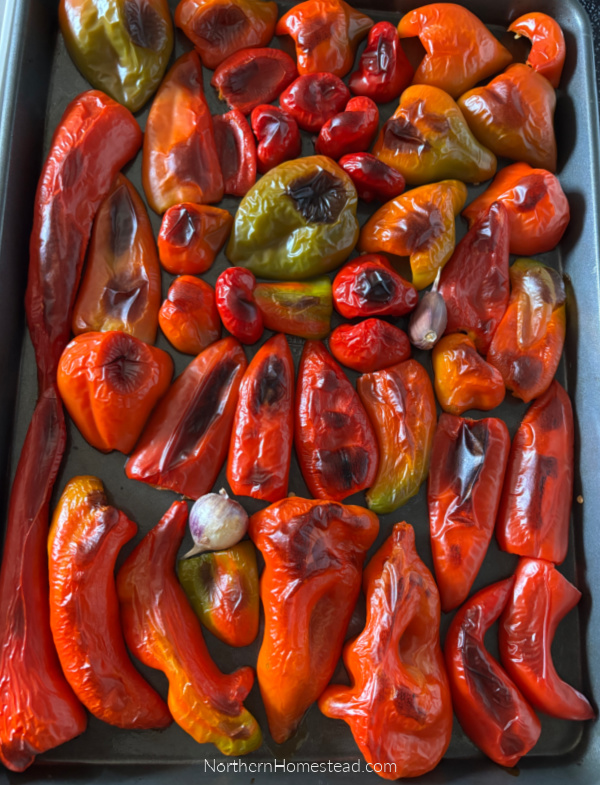 Roasted Peppers in a Jar