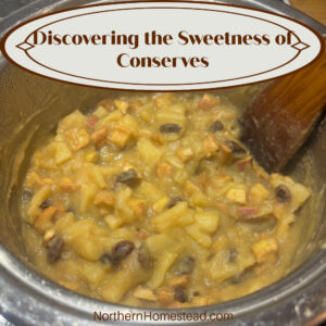 Discovering the Sweetness of Conserves: A Journey into Flavorful Fruit Preserves