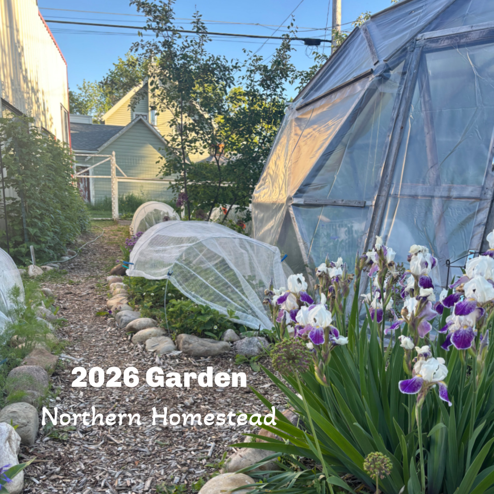 End-of-Season garden update for 2026