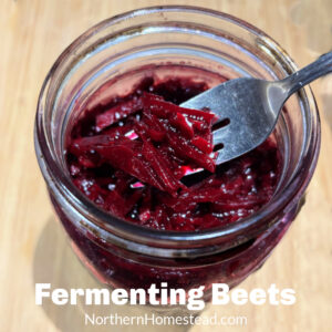 Fermenting Beets: Transforming a Nutrient Powerhouse into a Tasty Treat