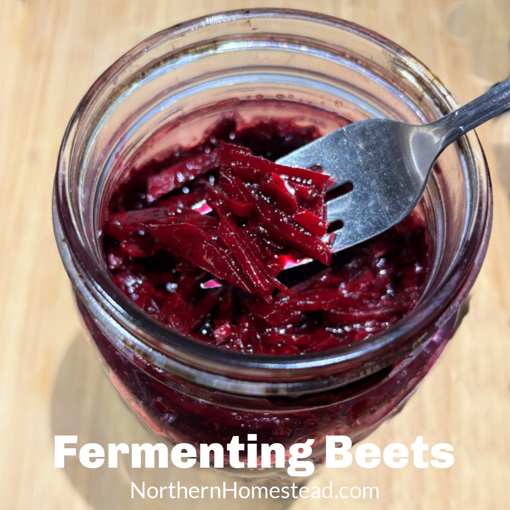 Fermenting Beets: Transforming a Nutrient Powerhouse into a Tasty Treat