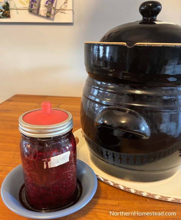 Fermenting Beets: Transforming a Nutrient Powerhouse into a Tasty Treat