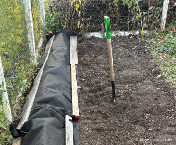 End-of-Season garden update for 2026