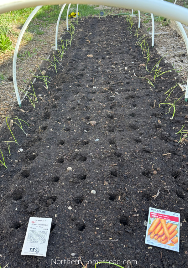 End-of-Season garden update for 2026