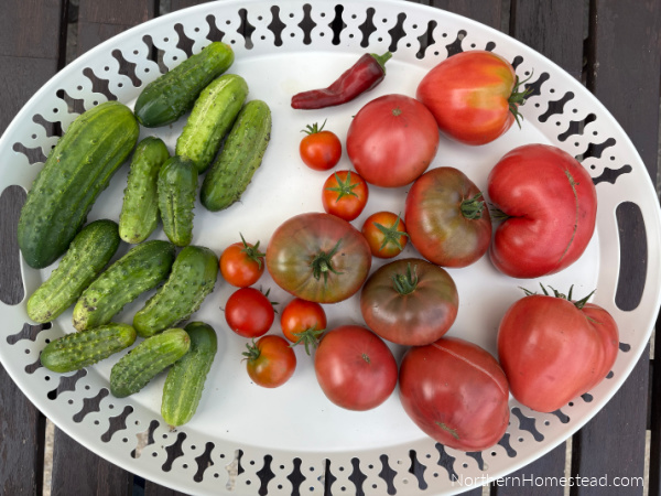 End-of-Season garden update for 2026
