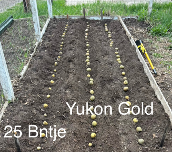 End-of-Season garden update for 2026