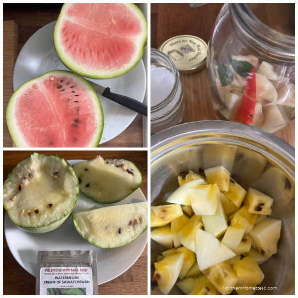 End-of-Season garden update for 2026