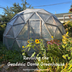 Navigating Change: Reviving the Geodesic Dome Greenhouse