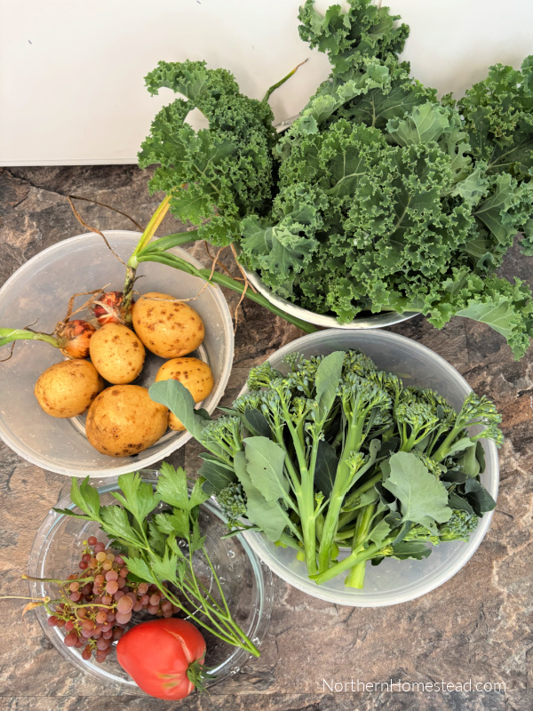 End-of-Season garden update for 2026