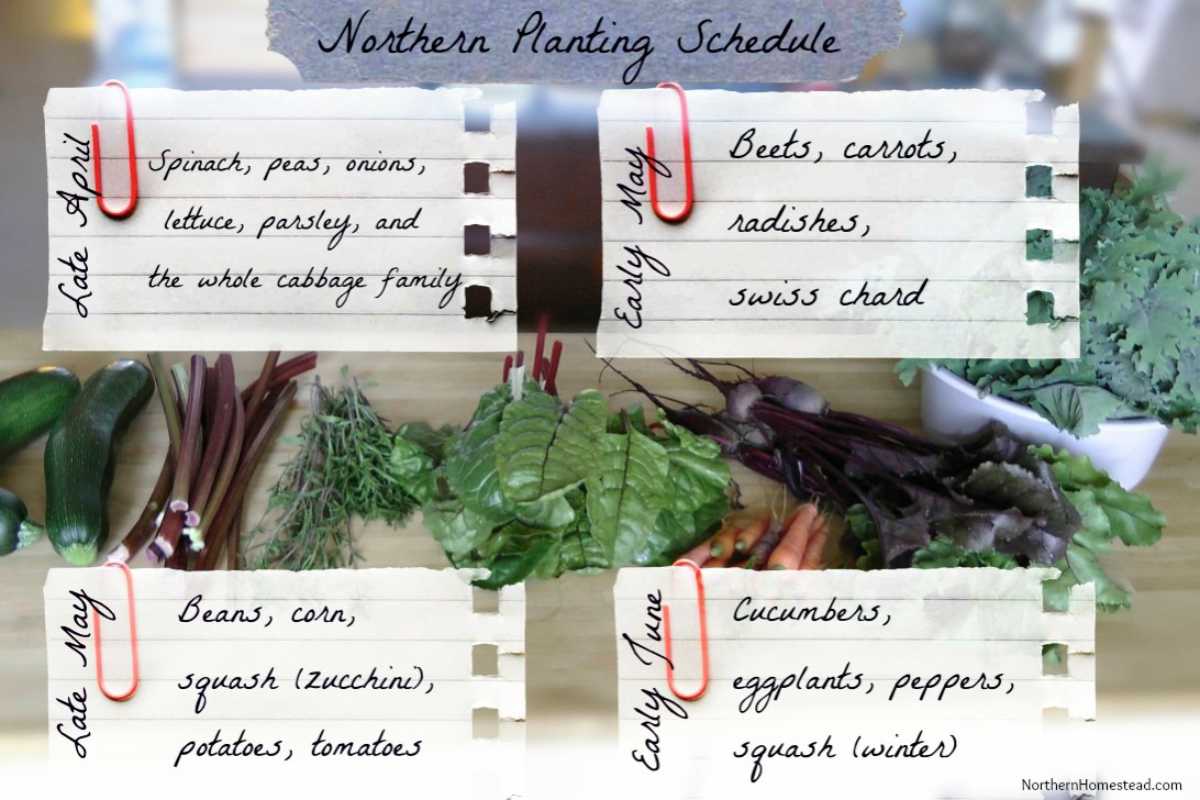Northern Planting Schedule - When to Plant What – And Why Not Follow the General Rule
