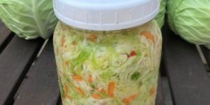 Make ahead, overnight coleslaw recipe