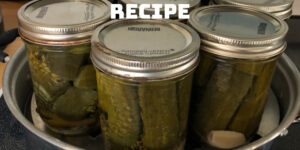 Russian Dill Pickles Recipe