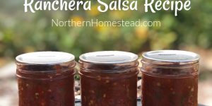Ranchera Salsa Recipe