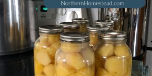 Pressure Canning Potatoes the Easy Raw Pack Method