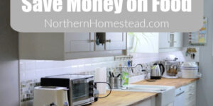 Kitchen Tools to Save Money on Food