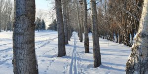 Follow your intuition