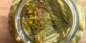 Fermented pickles for winter