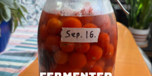 Fermented Cherry Tomatoes