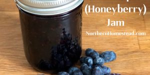 Haskap (Honeyberry) Jam