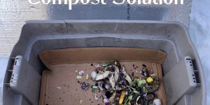 Simple Winter Compost Solution: Keeping Your Composting Dreams Alive