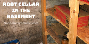 Build a root cellar in the basement