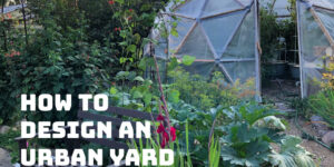 How to design an urban yard for food production