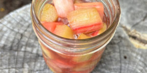Rhubarb in Syrup Canning Recipe