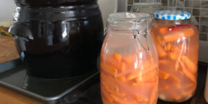 Fermented Baby Carrots or Carrot Sticks