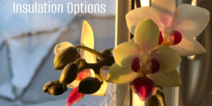 DIY and Low-Cost Windows and Doors Insulation Options