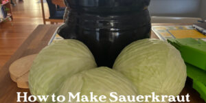 How to make sauerkraut using a water-sealed fermentation crock