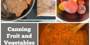 Canning fruit and vegetables from the freezer