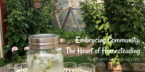 Embracing Community: The Heart of Homesteading