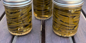 Deliciously Unique: Pickled Garlic Scapes