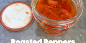 Roasted Peppers in a Jar