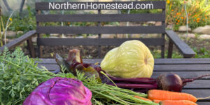 Harvesting Your Bounty in a Short Growing Season.