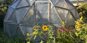 Navigating Change: Reviving the Geodesic Dome Greenhouse