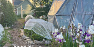 End-of-Season garden update for 2026