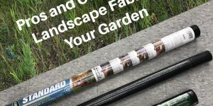 Pros and Cons of Using Landscape Fabric in Your Garden